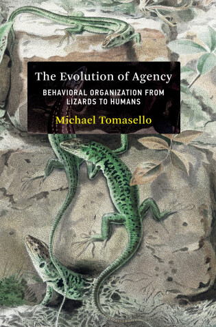 Cover of The Evolution of Agency