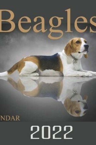 Cover of Calendar 2022 Beagles