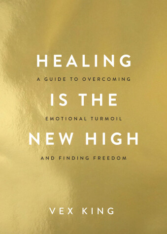 Book cover for Healing Is the New High