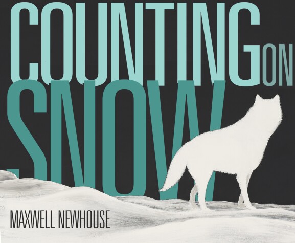 Book cover for Counting on Snow