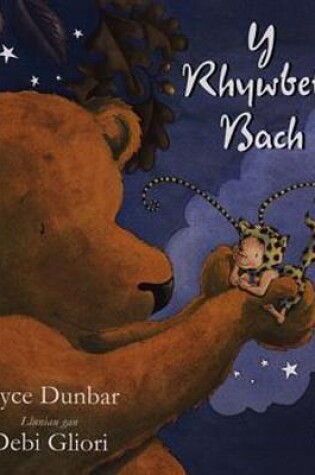 Cover of Rhywbeth Bach, Y