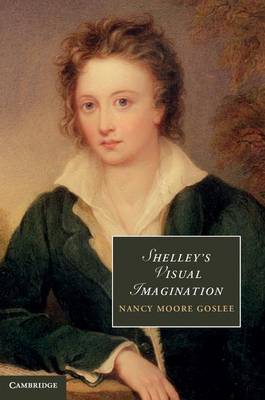 Book cover for Shelley's Visual Imagination