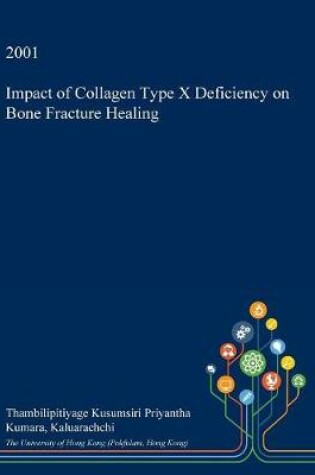 Cover of Impact of Collagen Type X Deficiency on Bone Fracture Healing