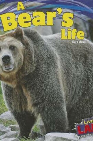 Cover of A Bear's Life