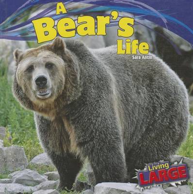 Cover of A Bear's Life