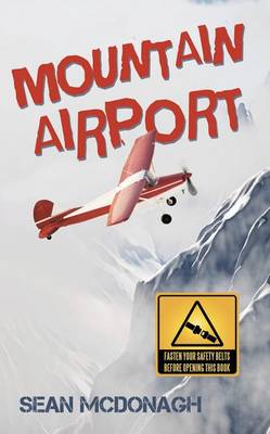 Book cover for Mountain Airport