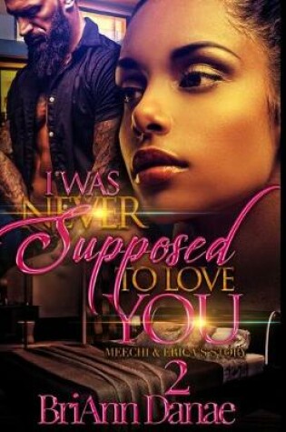 Cover of I Was Never Supposed To Love You 2