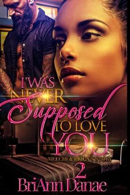 Cover of I Was Never Supposed To Love You 2