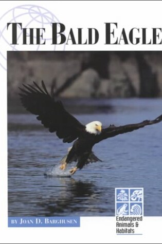 Cover of The Bald Eagle