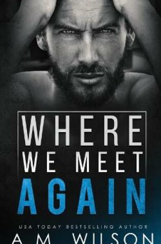 Cover of Where We Meet Again