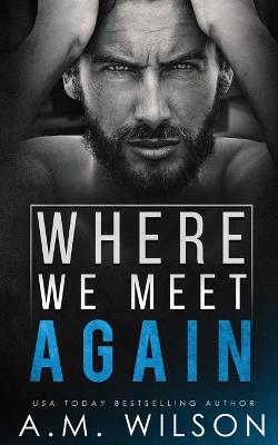 Book cover for Where We Meet Again