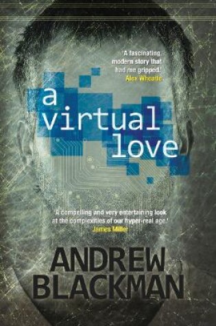 Cover of A Virtual Love