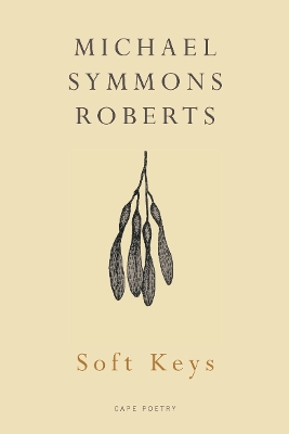 Book cover for Soft Keys