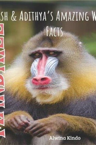 Cover of Mandrill