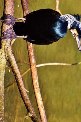 Book cover for Cormorant Perched by the Water Journal