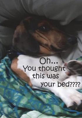 Cover of Oh....You Thought This Was Your Bed