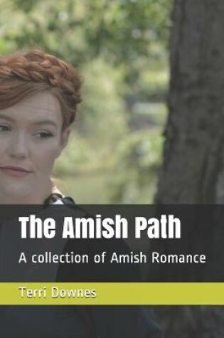 Cover of The Amish Path