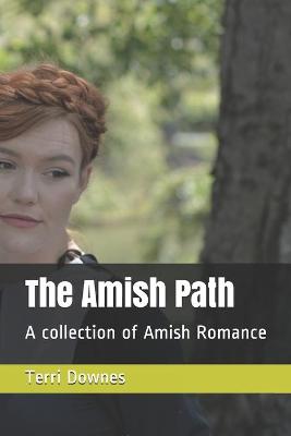 Book cover for The Amish Path