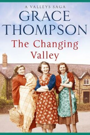 Cover of The Changing Valley