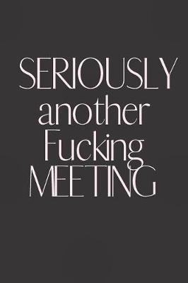 Book cover for SERIOUSLY another Fucking MEETING