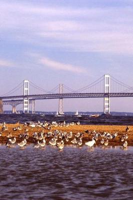 Cover of Travel Journal Chesapeake Bay Bridge Seagulls Water Sailboat