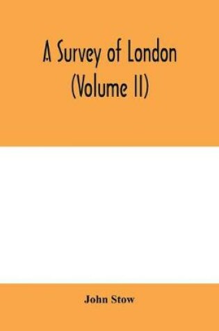 Cover of A survey of London (Volume II)