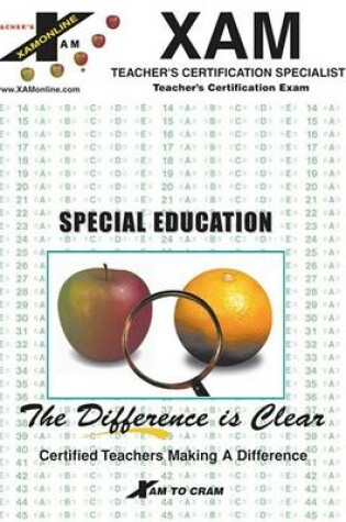 Cover of Instant Place Special Education