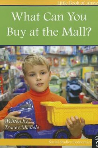 Cover of What Can You Buy at the Mall?