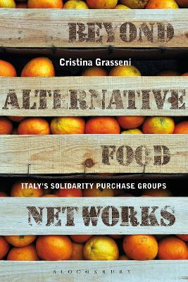 Book cover for Beyond Alternative Food Networks
