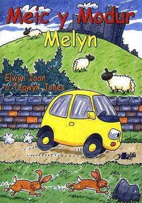 Book cover for Meic y Modur Melyn