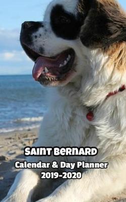 Book cover for Saint Bernard Calendar & Day Planner 2019-2020