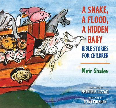 Book cover for A Snake, a Flood, a Hidden Baby