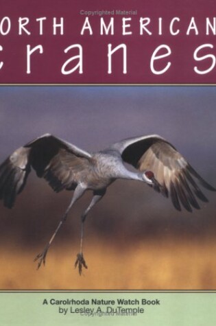 Cover of North American Cranes