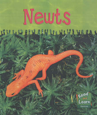 Book cover for Newts