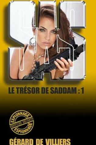 Cover of SAS 163 Le Tresor de Saddam T1