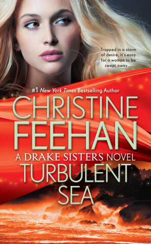 Book cover for Turbulent Sea