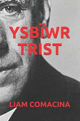 Book cover for Ysbiwr Trist