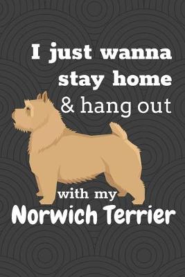 Book cover for I just wanna stay home & hang out with my Norwich Terrier