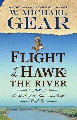 Cover of Flight of the Hawk