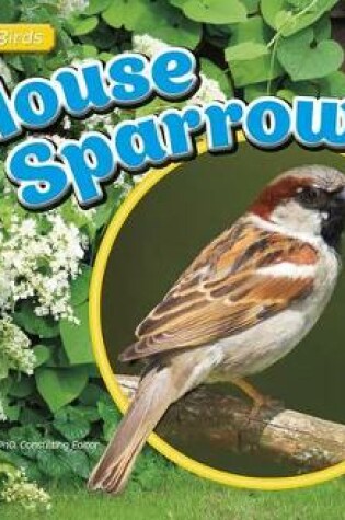 Cover of House Sparrows