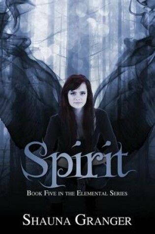 Cover of Spirit