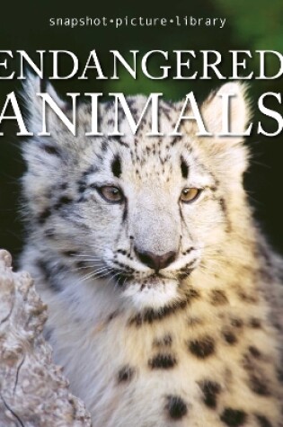 Cover of Endangered Animals