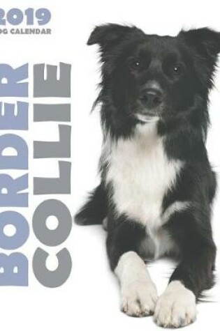 Cover of Border Collie 2019 Dog Calendar