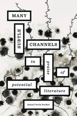 Book cover for Many Subtle Channels