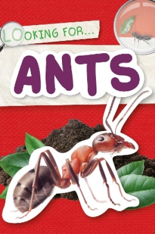 Cover of Ants