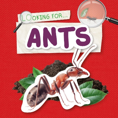 Cover of Ants