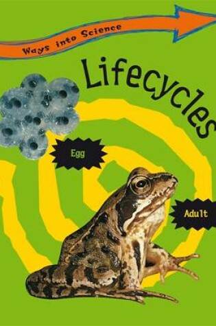 Cover of Lifecycles