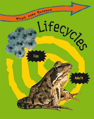 Book cover for Lifecycles