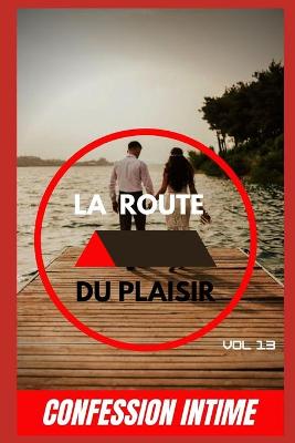 Book cover for La route du plaisir (vol 13)