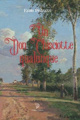 Book cover for Un Don Chisciotte qualunque